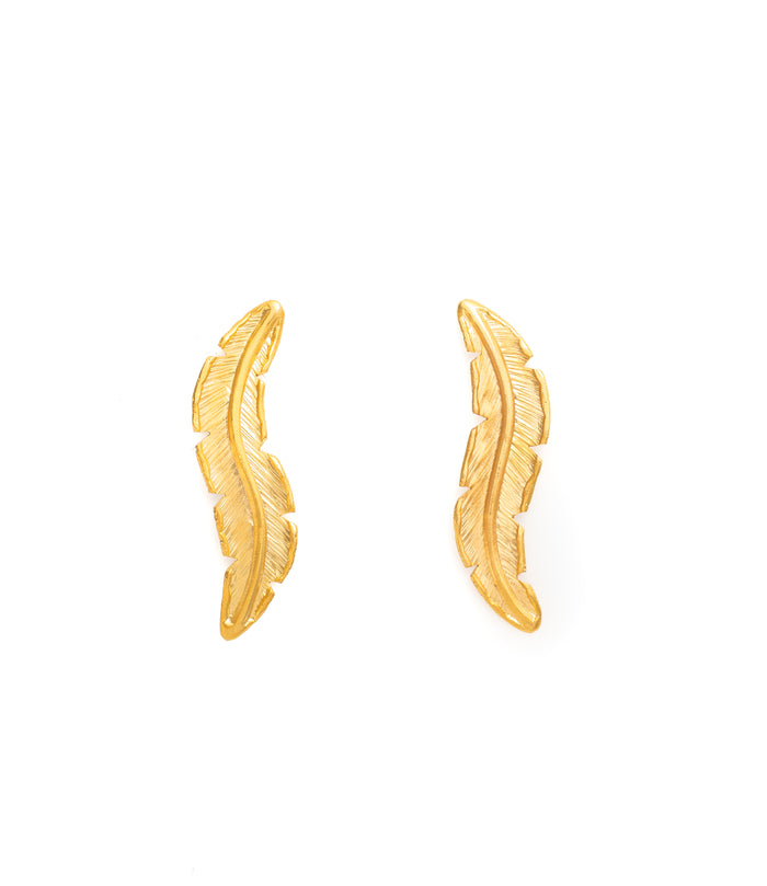 TOPOS HOJAS PLATANO